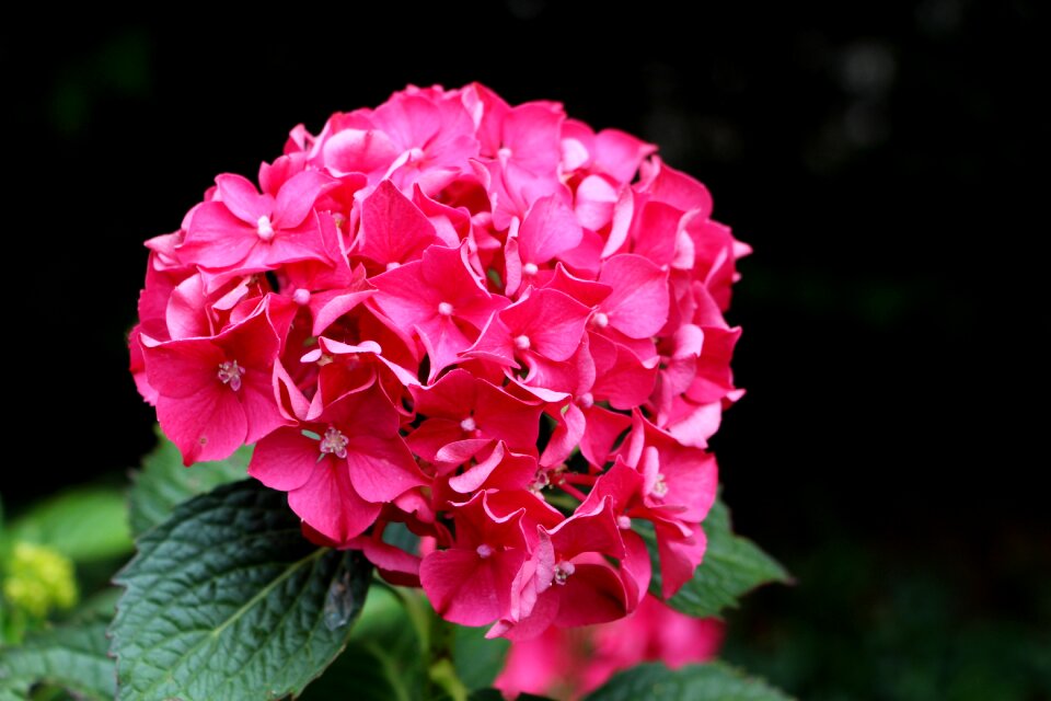 Elegant vibrant colorful