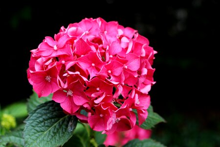 Elegant vibrant colorful