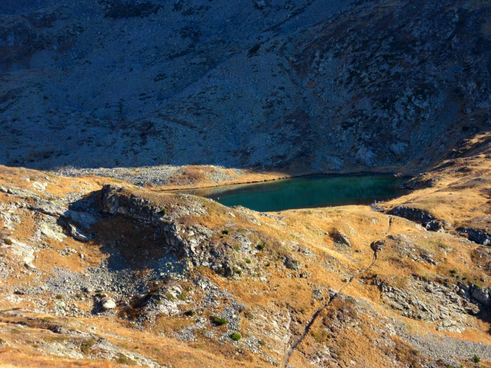201511_0274 