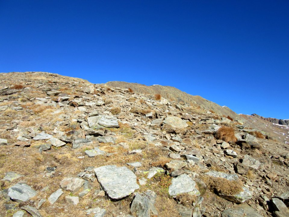 201511_0080 