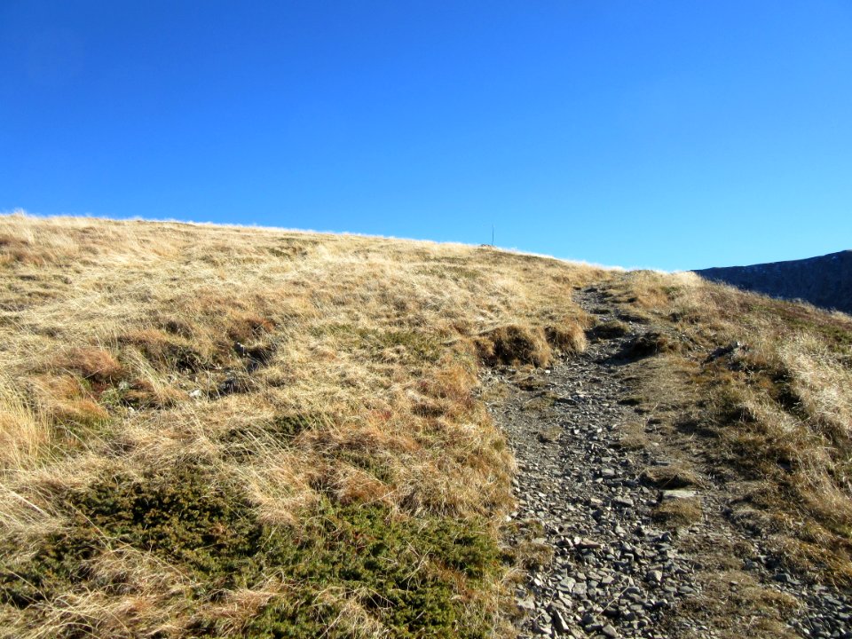 201511_0030 