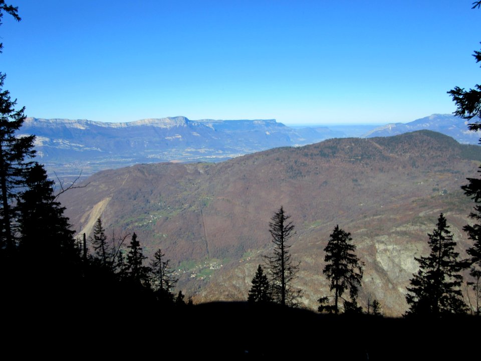 201511_0020 