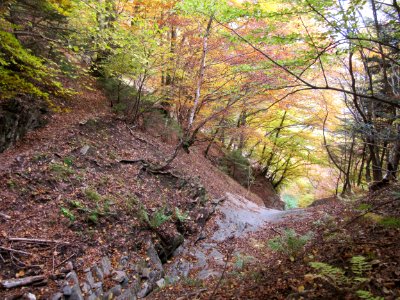 201510_0365 