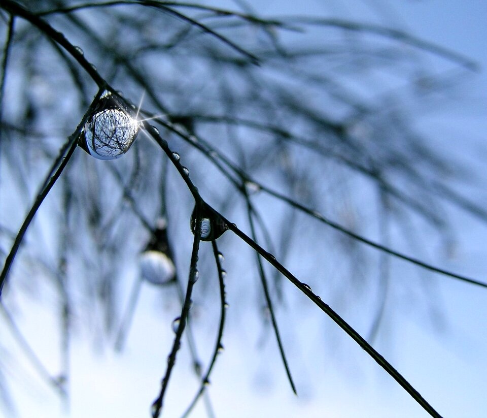 Grass rain blue rain