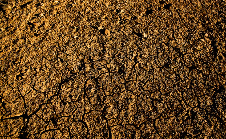 Drought nature cracks