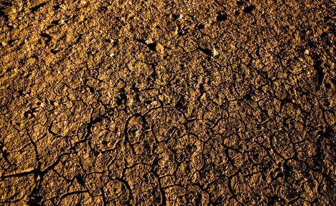 Drought nature cracks photo