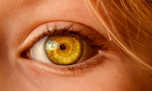 To watch observe view