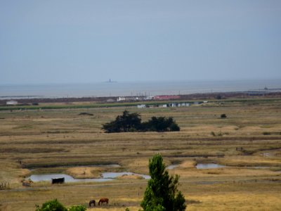 201508_0238 