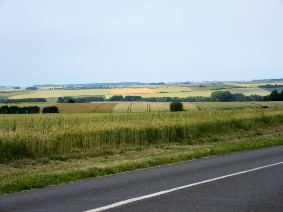 201507_0247 