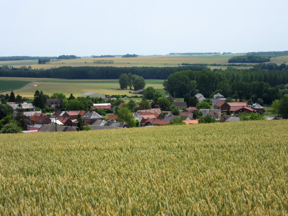 201507_0233 
