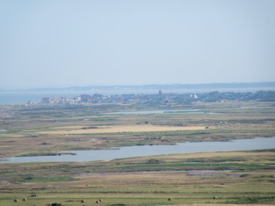 201507_0068 