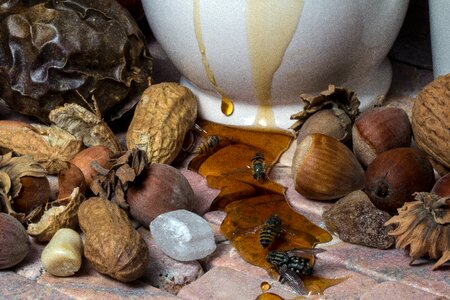 Passion fruit food honey