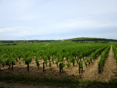 201506_1039 