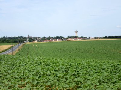 201506_1004 