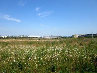 201506_0500 