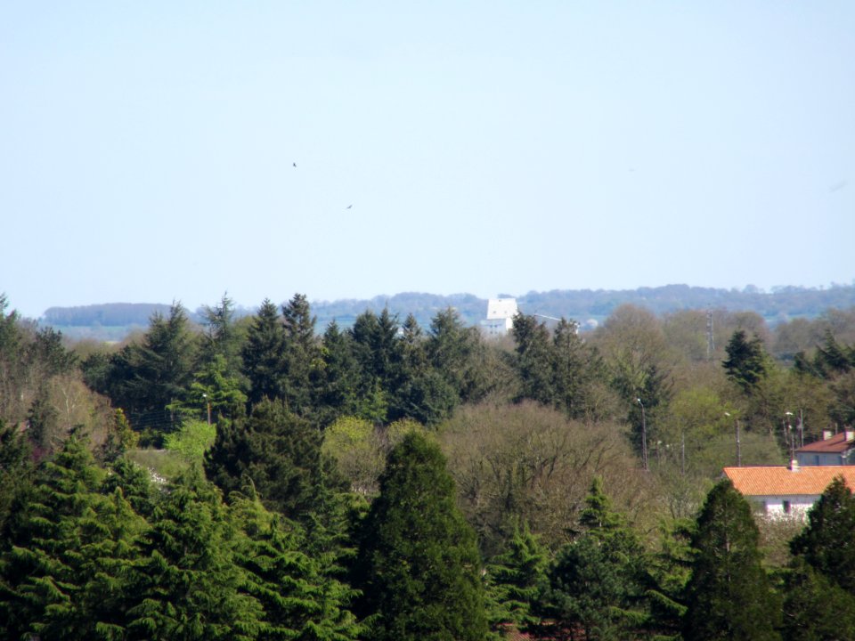 201504_0172 