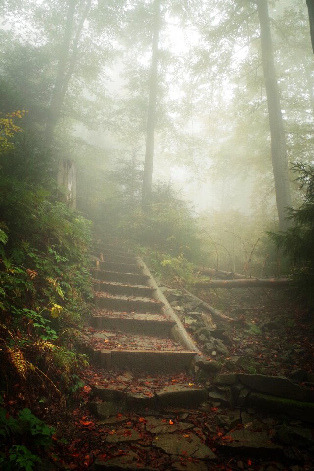 Stairs hot turbacz