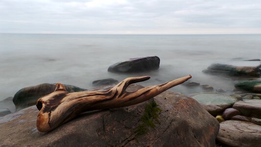 Outdoor cloudy sky driftwood