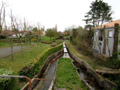 201504_0079 