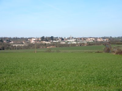 201503_0242 