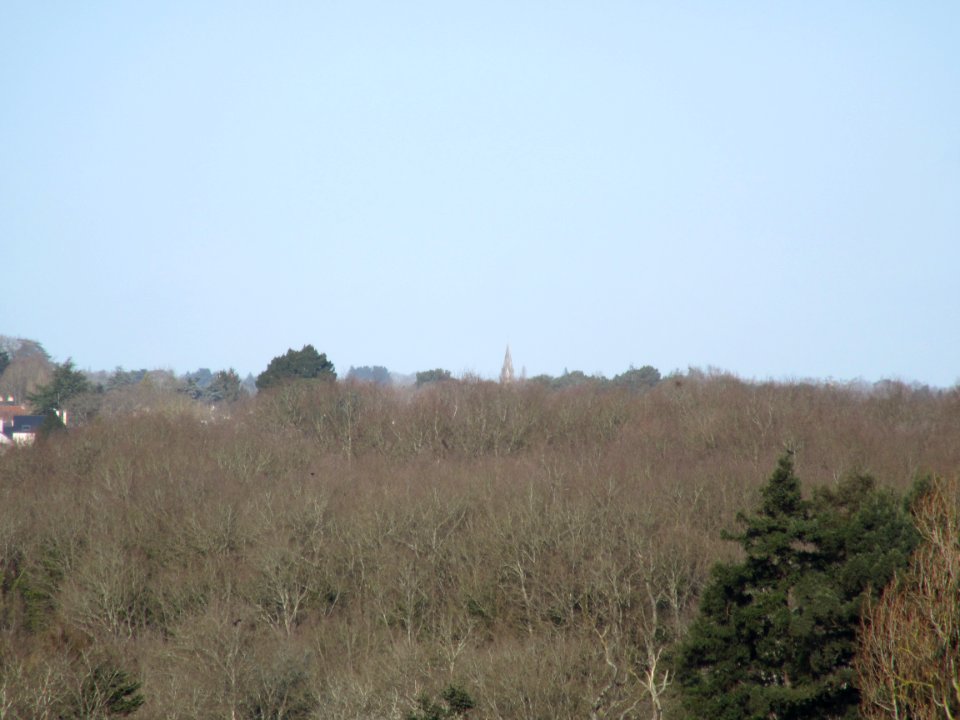 201503_0029 