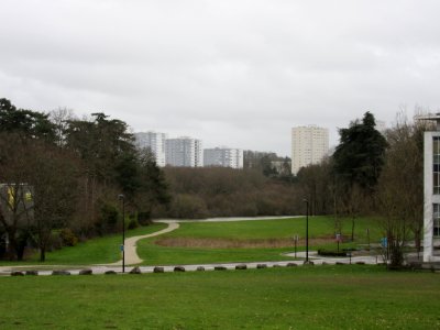 201503_0008 