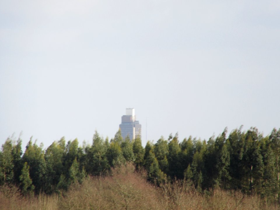 201502_0048 