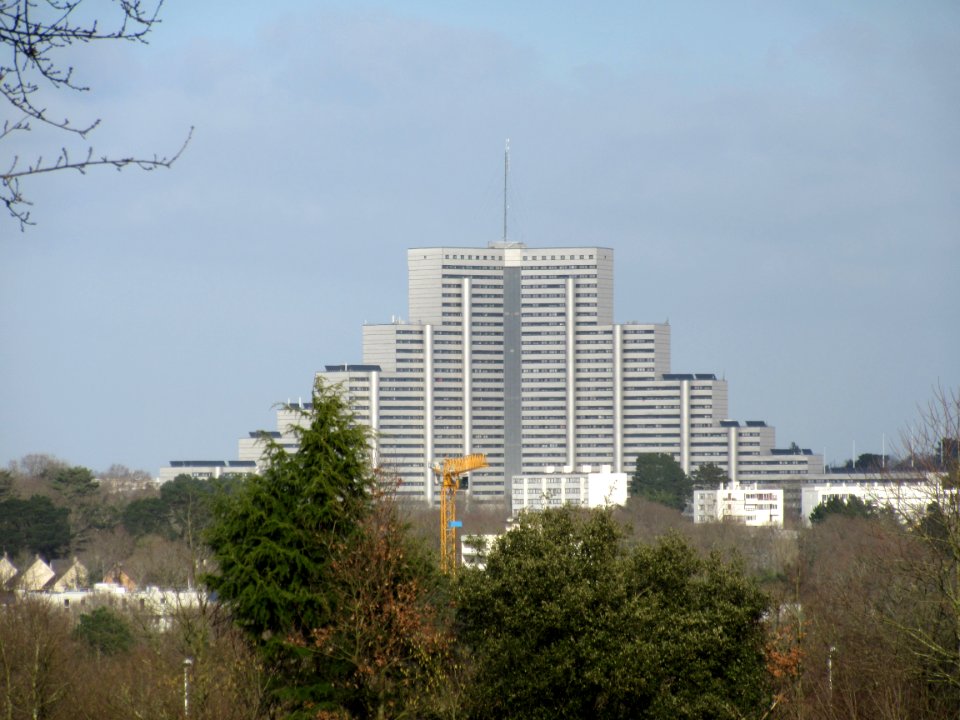 201502_0036 