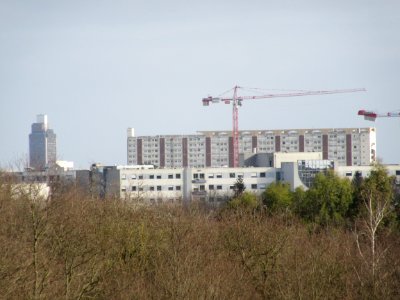 201502_0035 