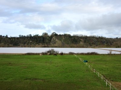 201501_0276 