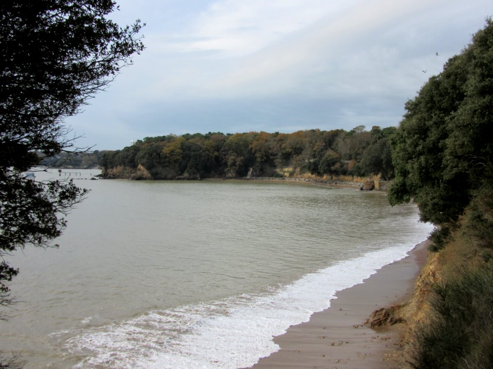 201411_0135 