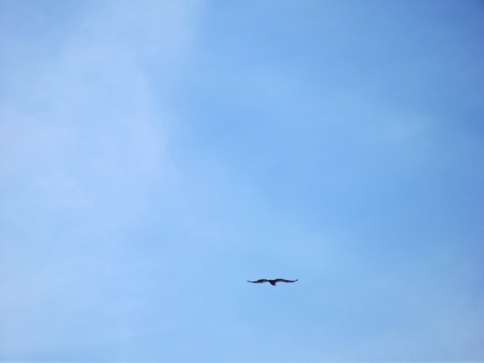 201408_0056 