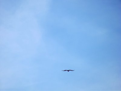 201408_0056 