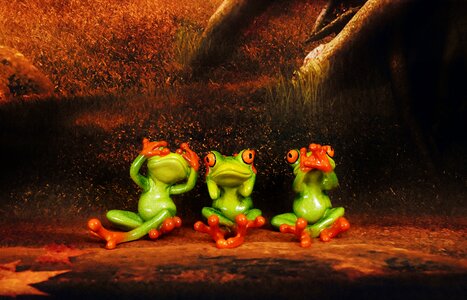 Frogs figures funny