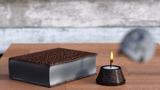Browse library book