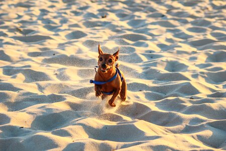 Sand summer sea