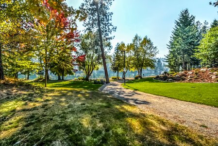Lawn water shore