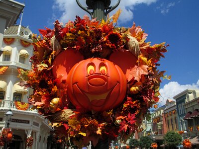 Orange season thanksgiving