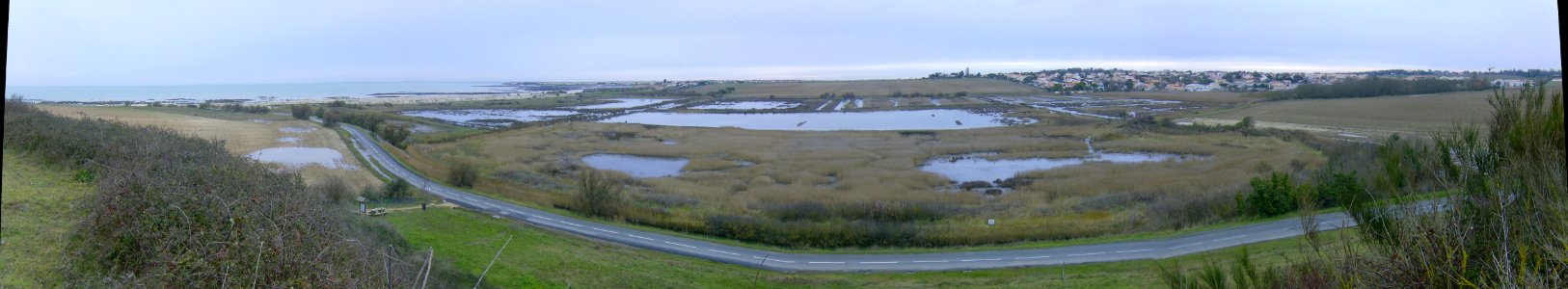 201012_0032 - 201012_0035 