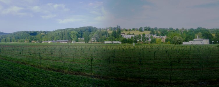 200906_0054 - 200906_0055 