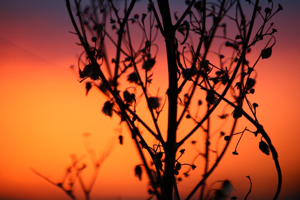 Sky abendstimmung setting sun