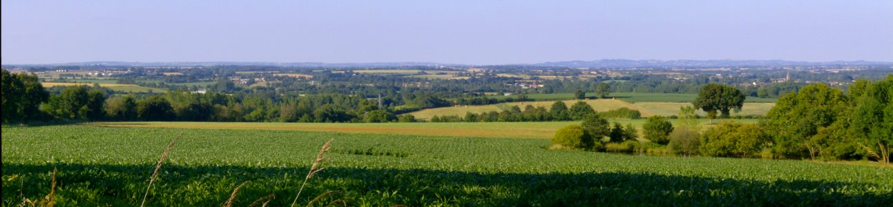 200806_0542 - 200806_0544 