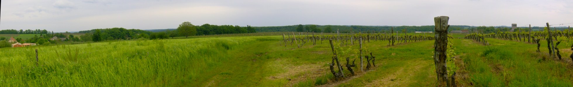 200805_0100 - 200805_0104 