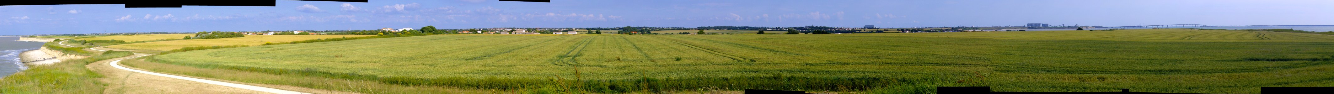 200806_0002 - 200806_0016 