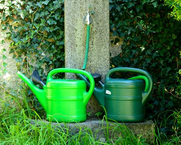 Irrigation pot water photo