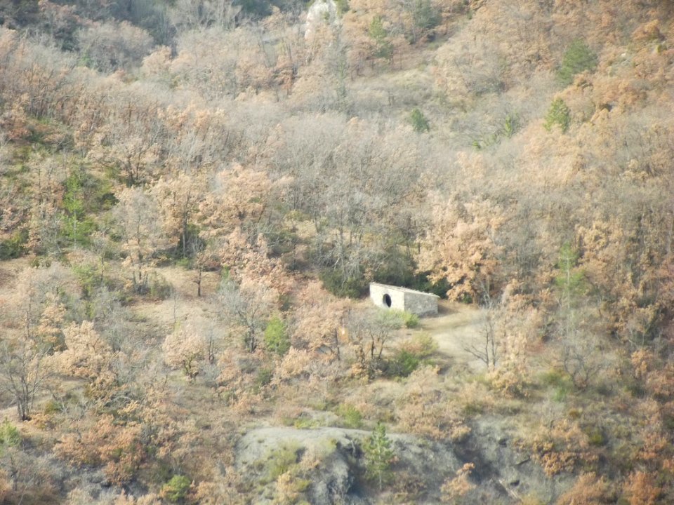 201303_0065 