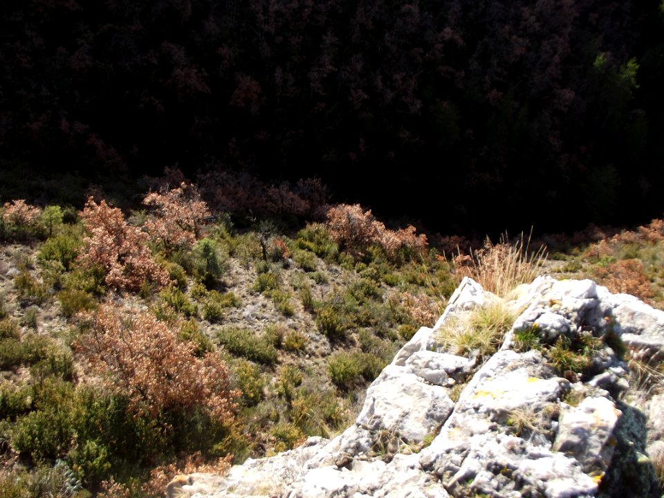 201212_0106 