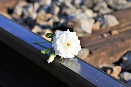 Remembering those kids who left us too soon school stress