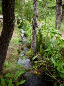 201209_0091 