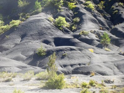 201209_0052 